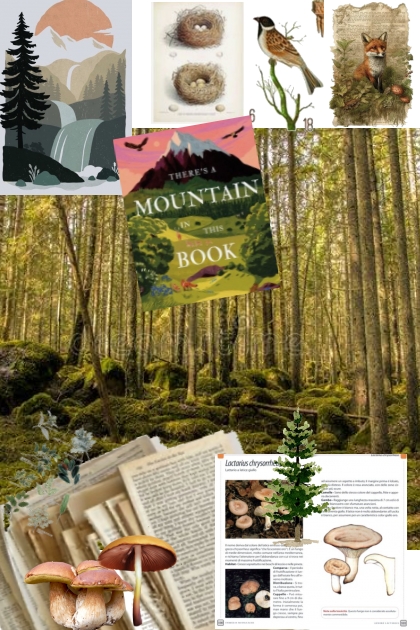 Mountain book- Combinaciónde moda