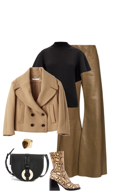 outfit 73