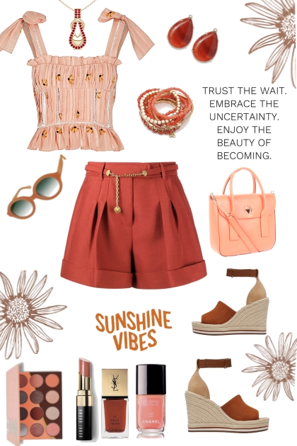 #294 Rust Shorts And Peach Top- Modna kombinacija