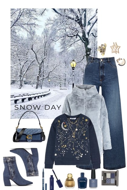 #960 2024 Celestial Winter- Combinazione di moda