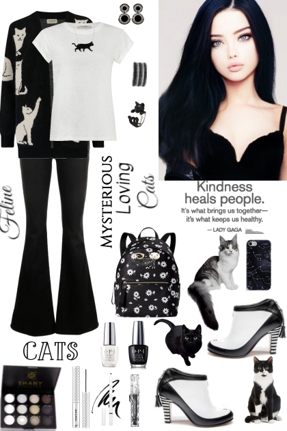 #1095 2024 Feline Kindness- Combinazione di moda