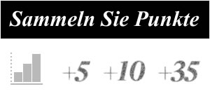 Bewertungssystem