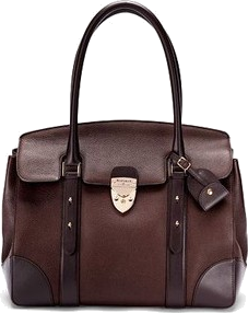 aspinal berkeley bag