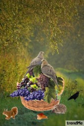 Birds On Grapes (1)