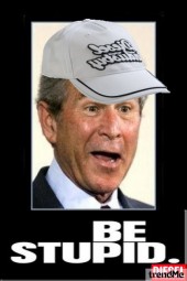 Bushstupid