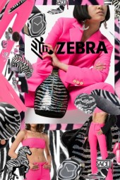 Zebra Print: Freedom, Balance, Individualism