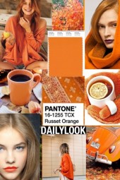 PANTONE COLOR * RUSSET ORANGE