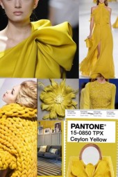 PANTONE CEYLON YELLOW * 2018-19