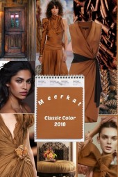 Pantone Classic Color 2018 * Meerkat