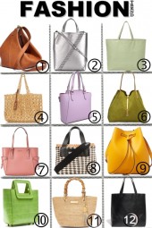 Fashion Bag Trend