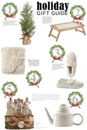 Holiday Gift Guide Ideas