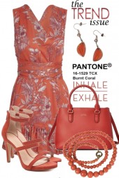 The Trend Issue...Pantone Burnt Coral