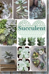 Succulents