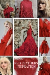 Red Feathers Inspirations