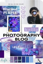 Purple and Blue Photography Blog