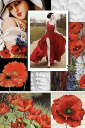 THE RED POPPY