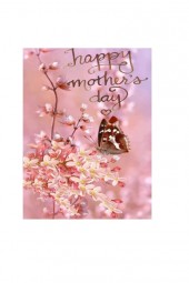 Happy Mother's Day