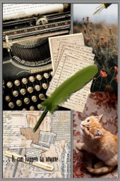 The Mystery of  the Writer's Cat... :)