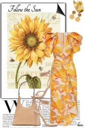 Sunflowers for Spring and Summer 