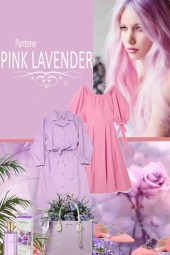 Pink - Lavender
