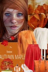 Autumn maple