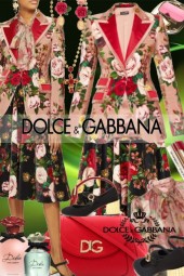 Dolce /Gabbana
