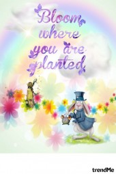 Bloom where you are Planted