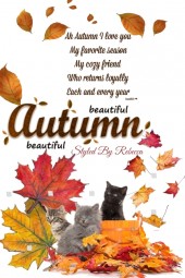 Pets and Autumn