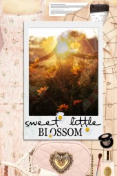   sweet little BLOSSOM