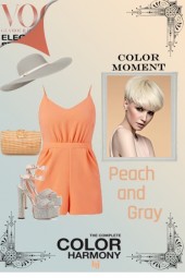 Color Moment--Peach and Gray