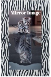 Mirror Image