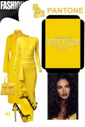 Pantone Color--Empire Yellow