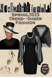 Spring 2023 Trend--Sheer Fashion