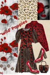 &#039;Wild Poppies&#039;