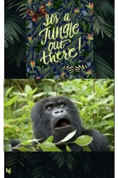 It&#039;s a Jungle Out There!