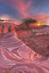 The Painted Desert!