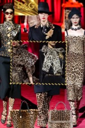 Dolce &amp; Gabbana RTW Animal Prints!