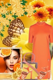 BUTTERFLY AND ORANGE