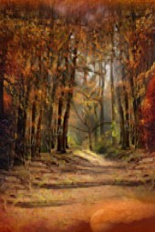 The Road To Autumn