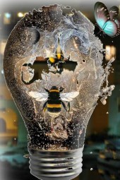 battle the bee's vrs the bulb