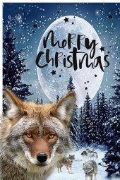 wolf packs merry christmas