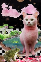 pink kitty looking 4 her prince