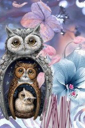 3 wise owls