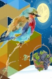 birdy n berries