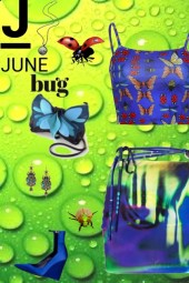 big bold n blue june bug