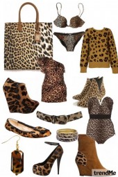 Leopard Fever!