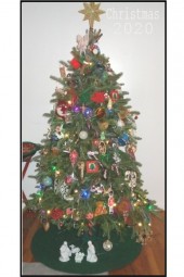 OUR TREE 11 ~ 25 ~ 2020