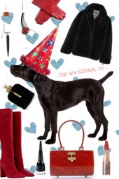 DOGS HAVE BIRTHDAYS, TOO ! 