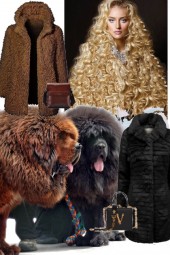 COATS AND BAGS AND CANINES 