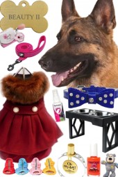 DOG ~ BEAUTY II ~ DOG FASHIONISTA 42923